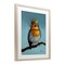 Stupell Industries Royal Robin Perched Framed Print Under Glass, design by Lucia Heffernan
